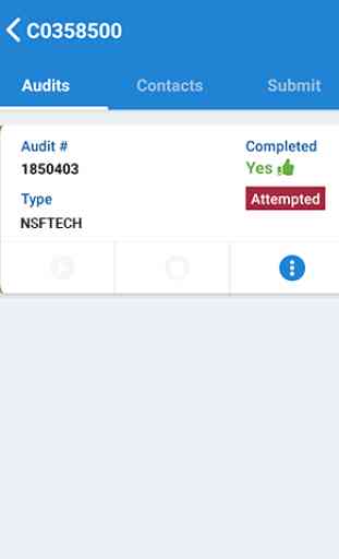 NSF Mobile Audit 1