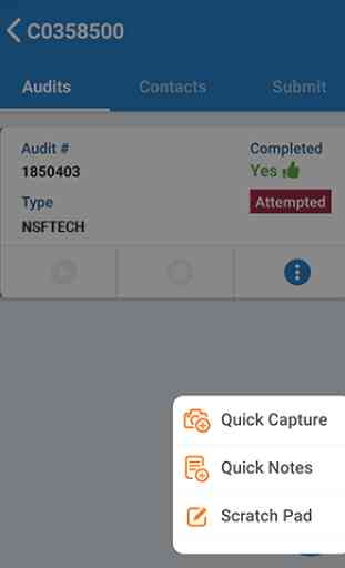 NSF Mobile Audit 2