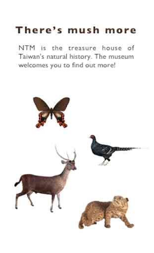 NTM walker - audio guide of National Taiwan Museum 4
