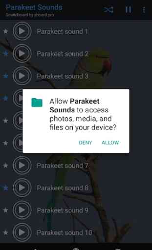Parakeet Sounds ~ Sboard.pro 2