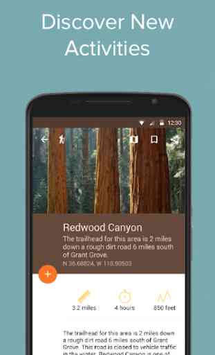 Sequoia Kings Canyon: Chimani 4