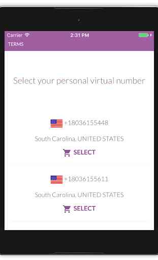 Virtual SIM (SMS) 4