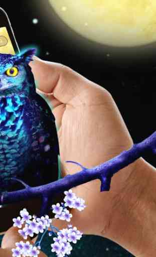Blue Night Owl Theme 2