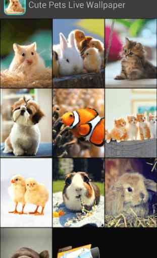 Cute Pets Live Wallpaper 3