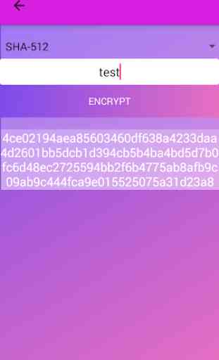 Encrypt Decrypt Tool 1