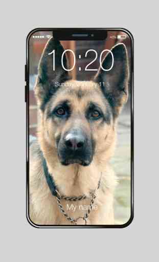 German Shepherd Faithful Dog Lock Screen Password 1