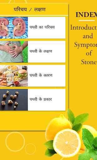 Kidney Stone(पथरी) Home Remedies Hindi 2