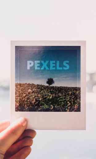 Pexels 1