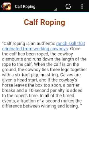 Rodeo 3