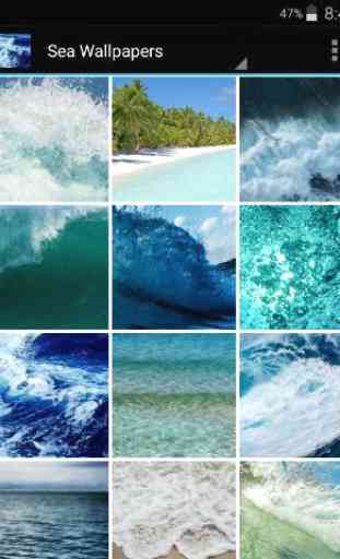 Sea wallpapers 1