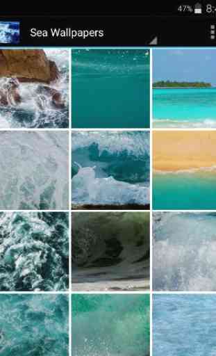 Sea wallpapers 2