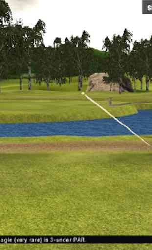 Top Real Star Golf Master 3D 2
