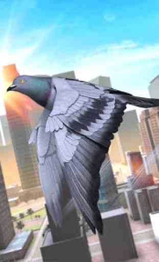 Wild Pigeon Bird City Simulator 3