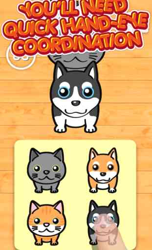 Neko & Doggie 100 Pets - Littlest Furry Friendly MatchUp Contest 3