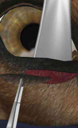 Ophthalmology in Dogs (Free Version) 1
