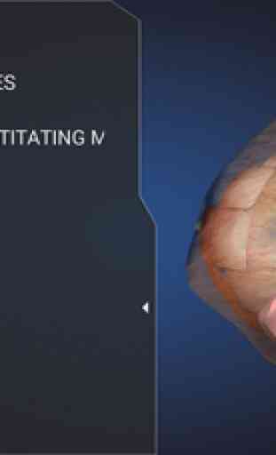 Ophthalmology in Dogs (Free Version) 2