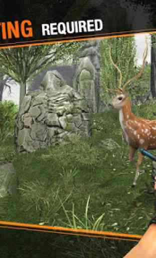 Deer Hunting Sniper Safari - Animals Hunt 1