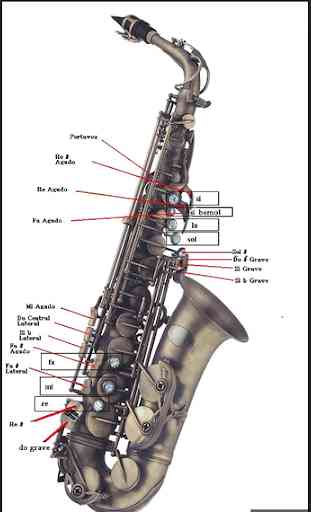 Learn to play saxophone. Alto saxophone courses 2