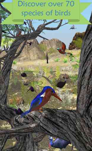 My Aviary - Grow Your Idle Bird Paradise 3
