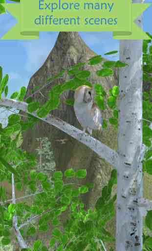 My Aviary - Grow Your Idle Bird Paradise 4