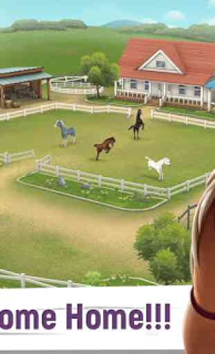 My Horse Stories 1