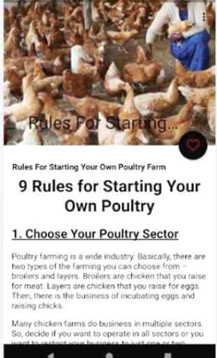 Poultry Farming - Chicken Farm - Chicken Egg Farm 3