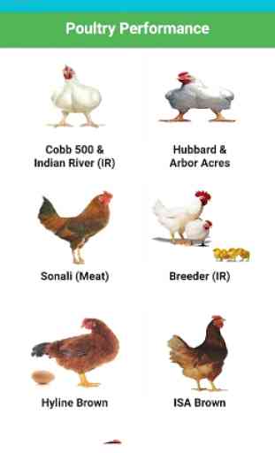 Poultry Performance 1