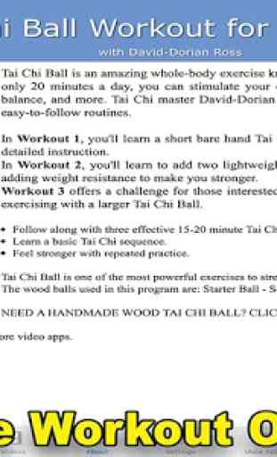 Tai Chi Ball Beginner 2