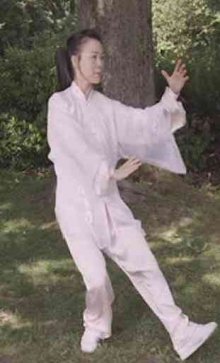 Tai Chi for Beginners - 48 Form (YMAA) 4