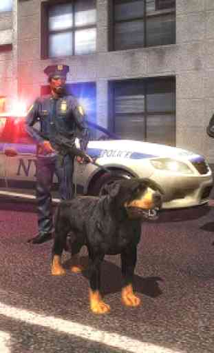 US Police Dog Survival 1