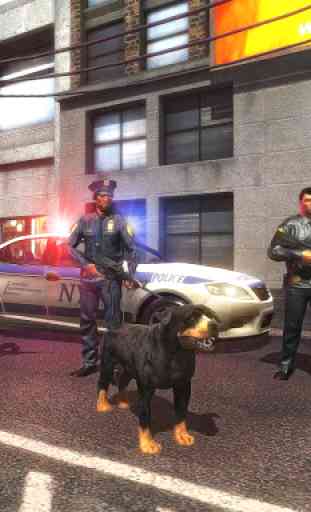US Police Dog Survival 4