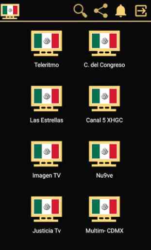 ViwFest TV - Televisión de México en Vivo 2