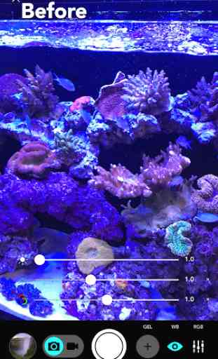 Aquarium Camera 1