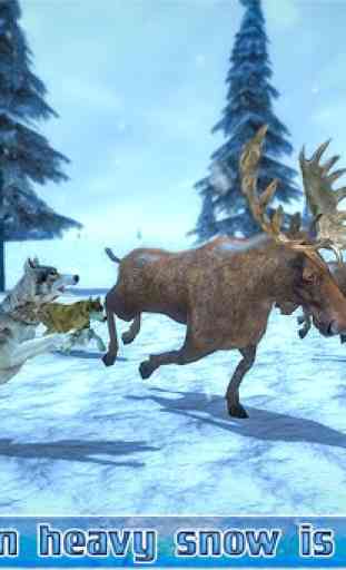 Arctic Wolf Sim 3D 4