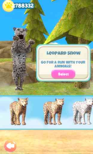 Cheetah Run 4