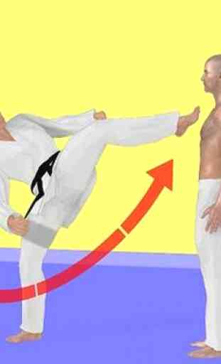 Fast Learning Taekwondo 4