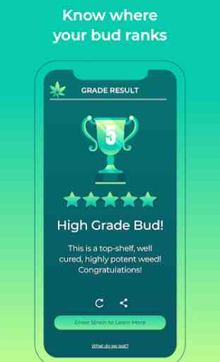 HiGrade - Mobile Cannabis Testing 3