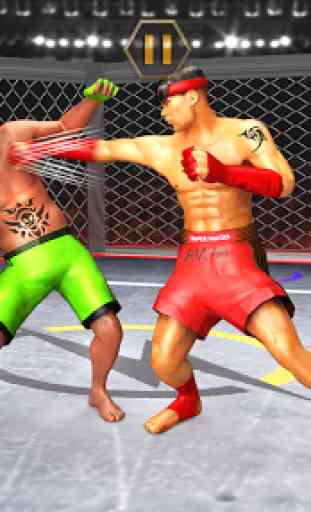 Karate Fighting Kung Fu Fighter Tiger MMA Fighting 1