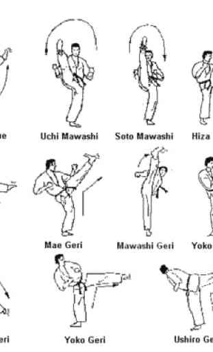 Learning Taekwondo Basic Movement 2