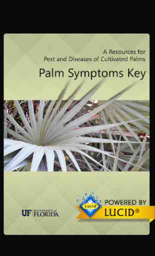 Palm Symptoms Key 1