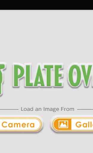 Plate Overlay 3