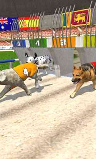 Real Dog Racing Tournament 1