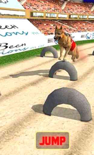 Real Dog Racing Tournament 2