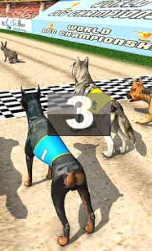 Real Dog Racing Tournament 3
