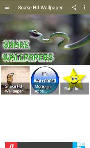 Snake Hd Wallpaper 1