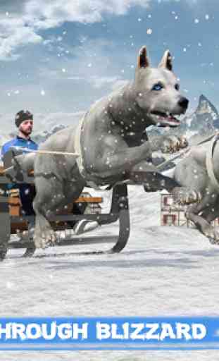 Snow Dog Sledding Transport Games: Winter Sports 2