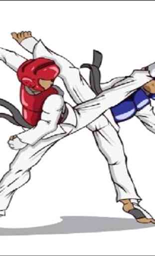 taekwondo movement 3