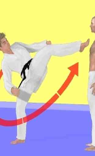 taekwondo movement 4