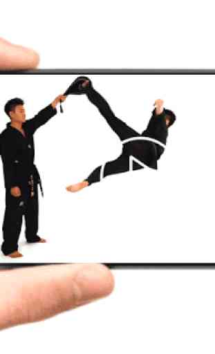 Taekwondo Techniques 2