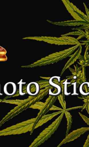 Weed Joint Photo Maker Editor 3